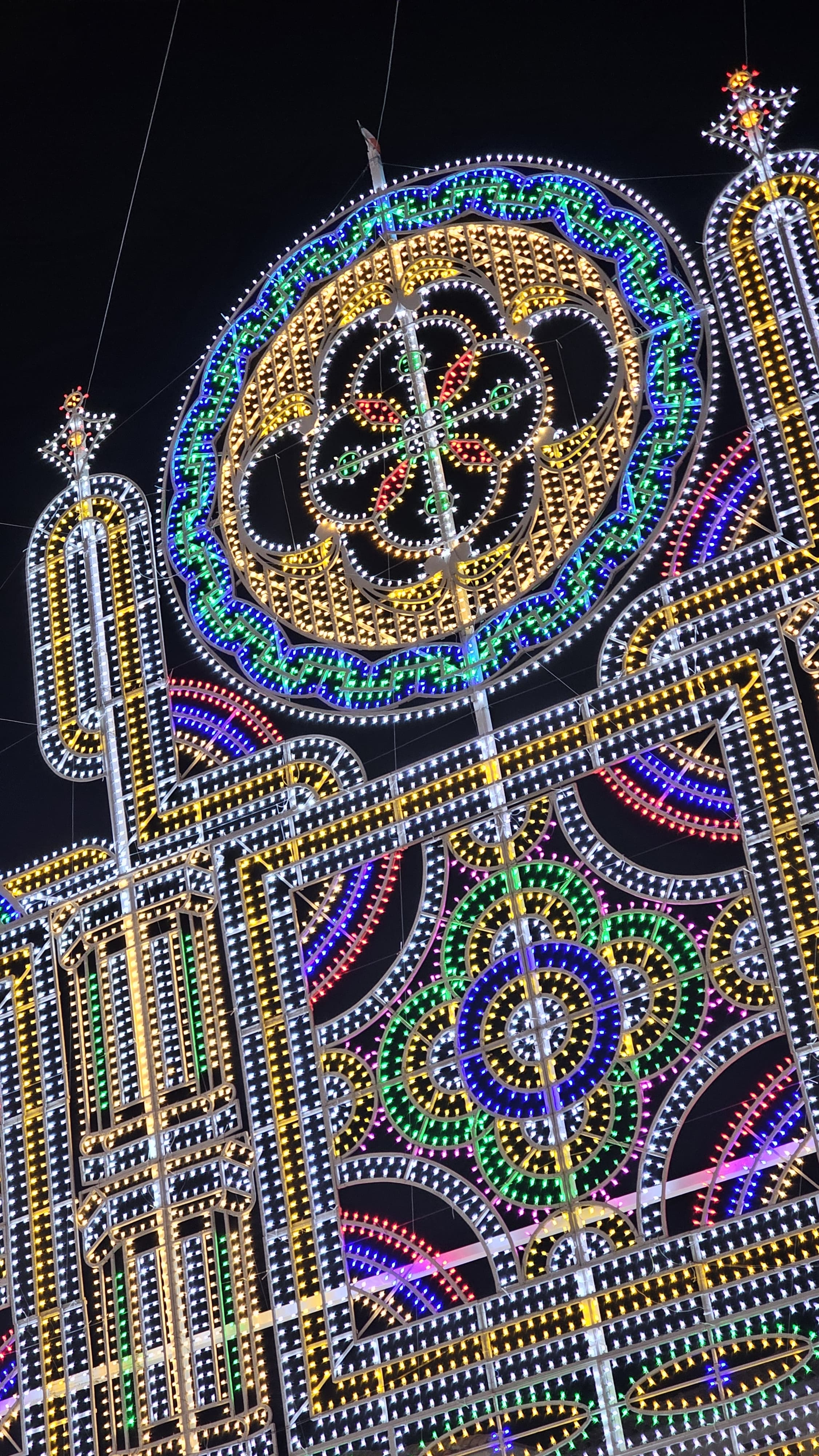 Festa di Sant'Antonio Abate - IMG-20240823-WA0019